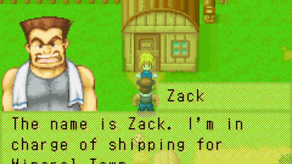 Harvest Moon: More Friends of Mineral Town